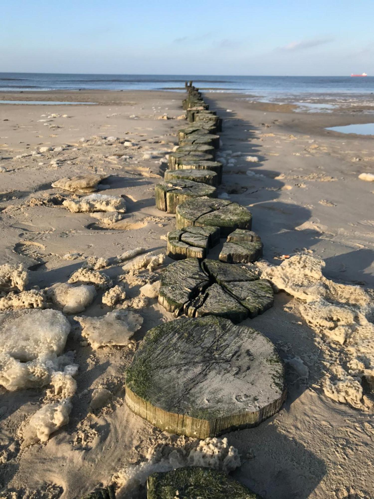 Eschen'S Allee 奥利希 外观 照片